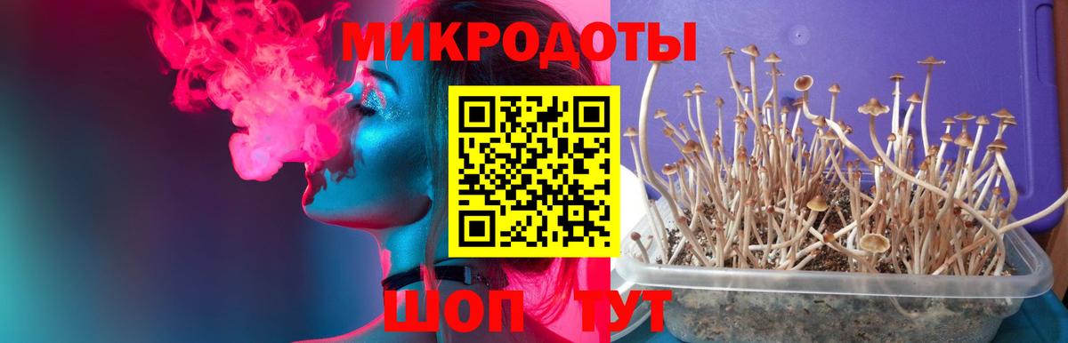 Кумертау  Псилоцибиновые грибы Cubensis  Вход с VPN 
